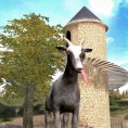 Goat_Featured-360x240
