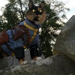 cats8-noscale