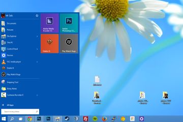 Windows 10, eski kutulu oyunları çalıştırmayacak mı?