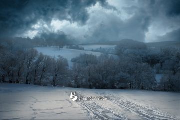 Battle of the Bulge