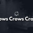 crows360