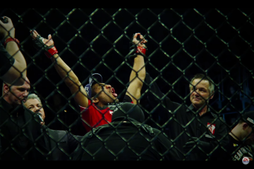 ufc 2 pc sistem gereksinimleri ufc 2 pc sistem gereksinimleri