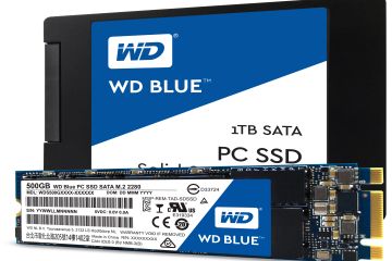 Western Digital, yeni SSD’lerini tanıttı!