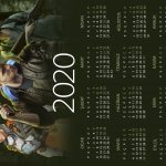 LEVEL_Poster2