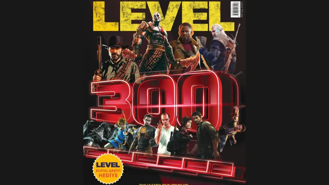level 300 arşivi kapak
